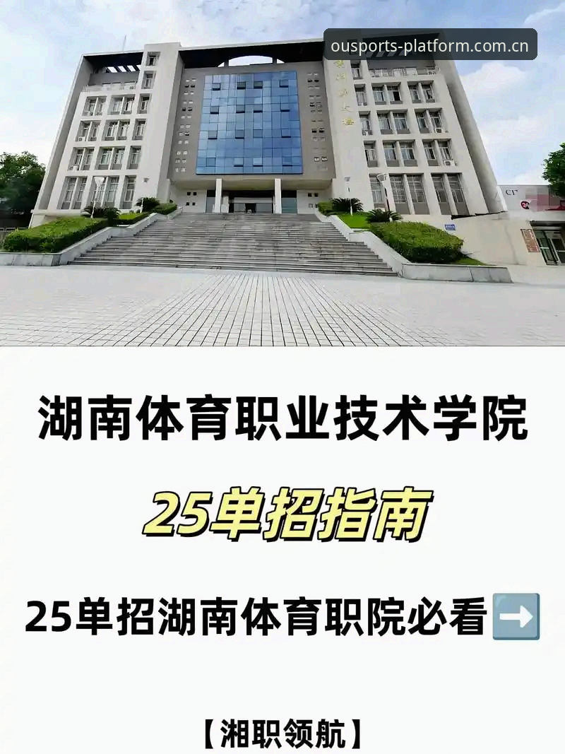 中欧体育官网安全使用完整指南：从下载到版本更新的技术评测